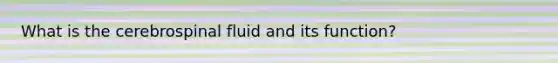 What is the cerebrospinal fluid and its function?