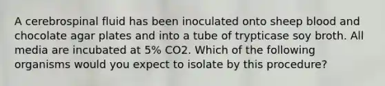 A cerebrospinal fluid has been inoculated onto sheep blood and chocolate agar plates and into a tube of trypticase soy broth. All media are incubated at 5% CO2. Which of the following organisms would you expect to isolate by this procedure?