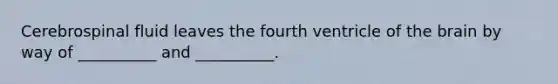 Cerebrospinal fluid leaves the fourth ventricle of the brain by way of __________ and __________.