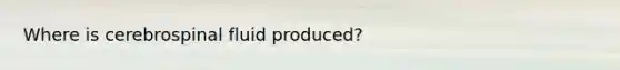 Where is cerebrospinal fluid produced?