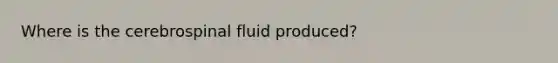 Where is the cerebrospinal fluid produced?