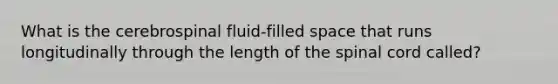 What is the cerebrospinal fluid-filled space that runs longitudinally through the length of the spinal cord called?