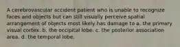 A cerebrovascular accident patient who is unable to recognize faces and objects but can still visually perceive spatial arrangement of objects most likely has damage to a. the primary visual cortex. b. the occipital lobe. c. the posterior association area. d. the temporal lobe.