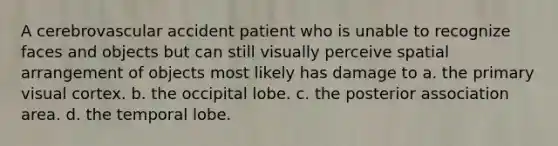 A cerebrovascular accident patient who is unable to recognize faces and objects but can still visually perceive spatial arrangement of objects most likely has damage to a. the primary visual cortex. b. the occipital lobe. c. the posterior association area. d. the temporal lobe.