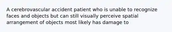 A cerebrovascular accident patient who is unable to recognize faces and objects but can still visually perceive spatial arrangement of objects most likely has damage to