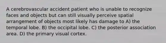 A cerebrovascular accident patient who is unable to recognize faces and objects but can still visually perceive spatial arrangement of objects most likely has damage to A) the temporal lobe. B) the occipital lobe. C) the posterior association area. D) the primary visual cortex.