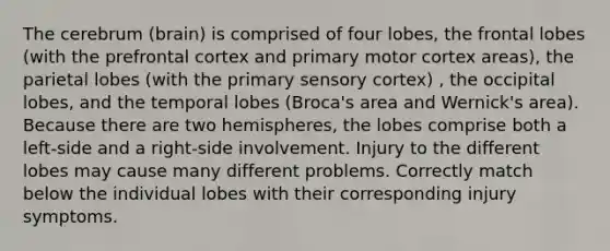 The cerebrum (brain) is comprised of four lobes, the frontal lobes (with the prefrontal cortex and primary motor cortex areas), the parietal lobes (with the primary sensory cortex) , the occipital lobes, and the temporal lobes (Broca's area and Wernick's area). Because there are two hemispheres, the lobes comprise both a left-side and a right-side involvement. Injury to the different lobes may cause many different problems. Correctly match below the individual lobes with their corresponding injury symptoms.