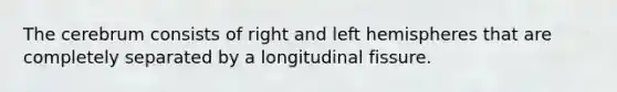 The cerebrum consists of right and left hemispheres that are completely separated by a longitudinal fissure.