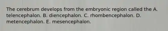 The cerebrum develops from the embryonic region called the A. telencephalon. B. diencephalon. C. rhombencephalon. D. metencephalon. E. mesencephalon.