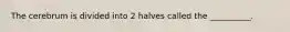 The cerebrum is divided into 2 halves called the __________.