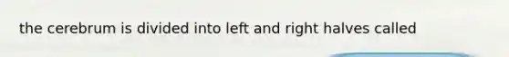 the cerebrum is divided into left and right halves called