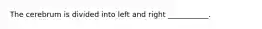 The cerebrum is divided into left and right ___________.