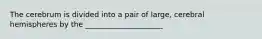 The cerebrum is divided into a pair of large, cerebral hemispheres by the _____________________
