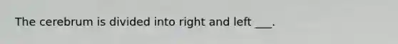 The cerebrum is divided into right and left ___.