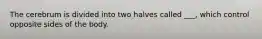 The cerebrum is divided into two halves called ___, which control opposite sides of the body.