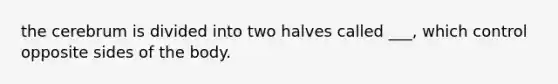 the cerebrum is divided into two halves called ___, which control opposite sides of the body.