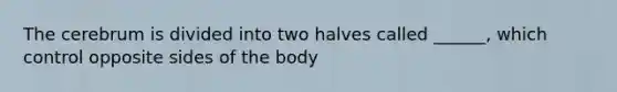 The cerebrum is divided into two halves called ______, which control opposite sides of the body