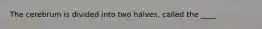 The cerebrum is divided into two halves, called the ____