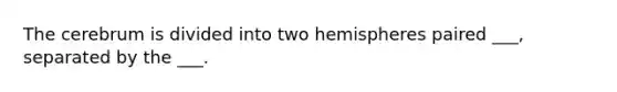 The cerebrum is divided into two hemispheres paired ___, separated by the ___.