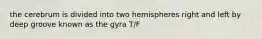 the cerebrum is divided into two hemispheres right and left by deep groove known as the gyra T/F