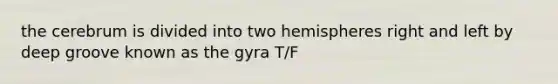 the cerebrum is divided into two hemispheres right and left by deep groove known as the gyra T/F