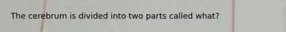 The cerebrum is divided into two parts called what?