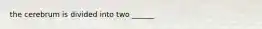 the cerebrum is divided into two ______