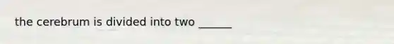 the cerebrum is divided into two ______