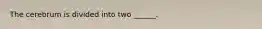 The cerebrum is divided into two ______.