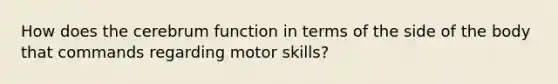 How does the cerebrum function in terms of the side of the body that commands regarding motor skills?