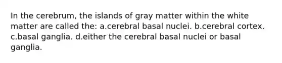 In the cerebrum, the islands of gray matter within the white matter are called the: a.cerebral basal nuclei. b.cerebral cortex. c.basal ganglia. d.either the cerebral basal nuclei or basal ganglia.