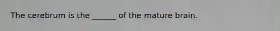 The cerebrum is the ______ of the mature brain.