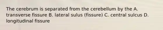 The cerebrum is separated from the cerebellum by the A. transverse fissure B. lateral sulus (fissure) C. central sulcus D. longitudinal fissure