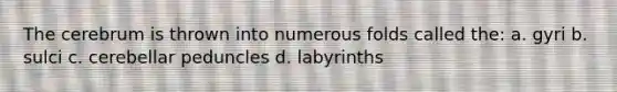 The cerebrum is thrown into numerous folds called the: a. gyri b. sulci c. cerebellar peduncles d. labyrinths