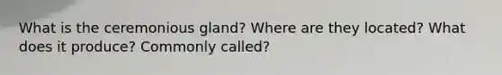 What is the ceremonious gland? Where are they located? What does it produce? Commonly called?