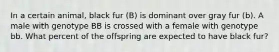 In a certain animal, black fur (B) is dominant over gray fur (b). A male with genotype BB is crossed with a female with genotype bb. What percent of the offspring are expected to have black fur?