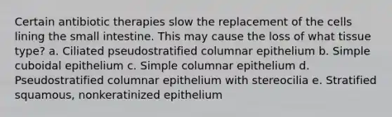 Certain antibiotic therapies slow the replacement of the cells lining the small intestine. This may cause the loss of what tissue type? a. Ciliated pseudostratified columnar epithelium b. Simple cuboidal epithelium c. Simple columnar epithelium d. Pseudostratified columnar epithelium with stereocilia e. Stratified squamous, nonkeratinized epithelium