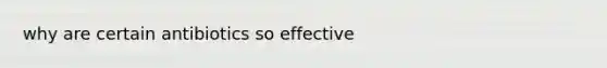 why are certain antibiotics so effective