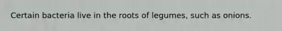 Certain bacteria live in the roots of legumes, such as onions.