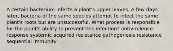 A certain bacterium infects a plant's upper leaves. A few days later, bacteria of the same species attempt to infect the same plant's roots but are unsuccessful. What process is responsible for the plant's ability to prevent this infection? antivirulence response systemic acquired resistance pathogenesis resistance sequential immunity