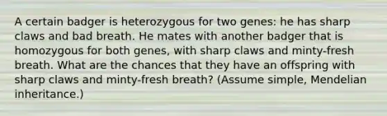 A certain badger is heterozygous for two genes: he has sharp claws and bad breath. He mates with another badger that is homozygous for both genes, with sharp claws and minty-fresh breath. What are the chances that they have an offspring with sharp claws and minty-fresh breath? (Assume simple, Mendelian inheritance.)