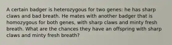 A certain badger is heterozygous for two genes: he has sharp claws and bad breath. He mates with another badger that is homozygous for both genes, with sharp claws and minty fresh breath. What are the chances they have an offspring with sharp claws and minty fresh breath?