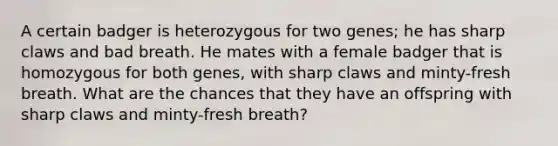 A certain badger is heterozygous for two genes; he has sharp claws and bad breath. He mates with a female badger that is homozygous for both genes, with sharp claws and minty-fresh breath. What are the chances that they have an offspring with sharp claws and minty-fresh breath?