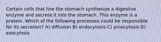 Certain cells that line the stomach synthesize a digestive enzyme and secrete it into the stomach. This enzyme is a protein. Which of the following processes could be responsible for its secretion? A) diffusion B) endocytosis C) pinocytosis D) exocytosis