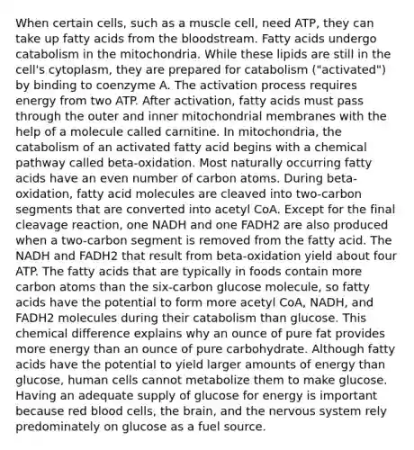 When certain cells, such as a muscle cell, need ATP, they can take up fatty acids from <a href='https://www.questionai.com/knowledge/k7oXMfj7lk-the-blood' class='anchor-knowledge'>the blood</a>stream. Fatty acids undergo catabolism in the mitochondria. While these lipids are still in the cell's cytoplasm, they are prepared for catabolism ("activated") by binding to coenzyme A. The activation process requires energy from two ATP. After activation, fatty acids must pass through the outer and inner mitochondrial membranes with the help of a molecule called carnitine. In mitochondria, the catabolism of an activated fatty acid begins with a chemical pathway called beta-oxidation. Most naturally occurring fatty acids have an even number of carbon atoms. During beta-oxidation, fatty acid molecules are cleaved into two-carbon segments that are converted into acetyl CoA. Except for the final cleavage reaction, one NADH and one FADH2 are also produced when a two-carbon segment is removed from the fatty acid. The NADH and FADH2 that result from beta-oxidation yield about four ATP. The fatty acids that are typically in foods contain more carbon atoms than the six-carbon glucose molecule, so fatty acids have the potential to form more acetyl CoA, NADH, and FADH2 molecules during their catabolism than glucose. This chemical difference explains why an ounce of pure fat provides more energy than an ounce of pure carbohydrate. Although fatty acids have the potential to yield larger amounts of energy than glucose, human cells cannot metabolize them to make glucose. Having an adequate supply of glucose for energy is important because red blood cells, <a href='https://www.questionai.com/knowledge/kLMtJeqKp6-the-brain' class='anchor-knowledge'>the brain</a>, and the <a href='https://www.questionai.com/knowledge/kThdVqrsqy-nervous-system' class='anchor-knowledge'>nervous system</a> rely predominately on glucose as a fuel source.