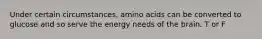 Under certain circumstances, amino acids can be converted to glucose and so serve the energy needs of the brain. T or F