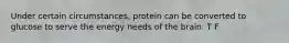 Under certain circumstances, protein can be converted to glucose to serve the energy needs of the brain. T F