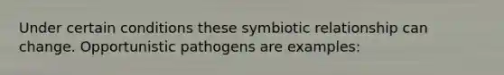 Under certain conditions these symbiotic relationship can change. Opportunistic pathogens are examples: