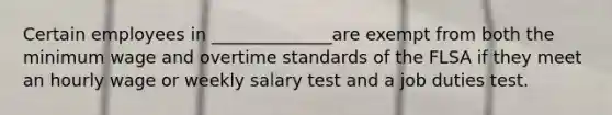 Certain employees in ______________are exempt from both the minimum wage and overtime standards of the FLSA if they meet an hourly wage or weekly salary test and a job duties test.