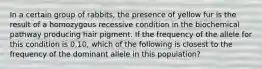 In a certain group of rabbits, the presence of yellow fur is the result of a homozygous recessive condition in the biochemical pathway producing hair pigment. If the frequency of the allele for this condition is 0.10, which of the following is closest to the frequency of the dominant allele in this population?